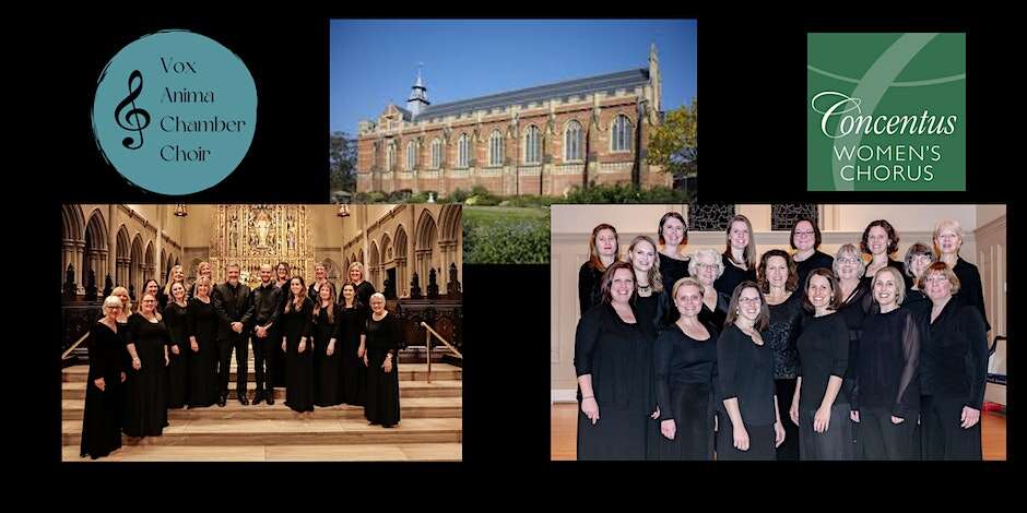 in Celebration of Everyday Wonders